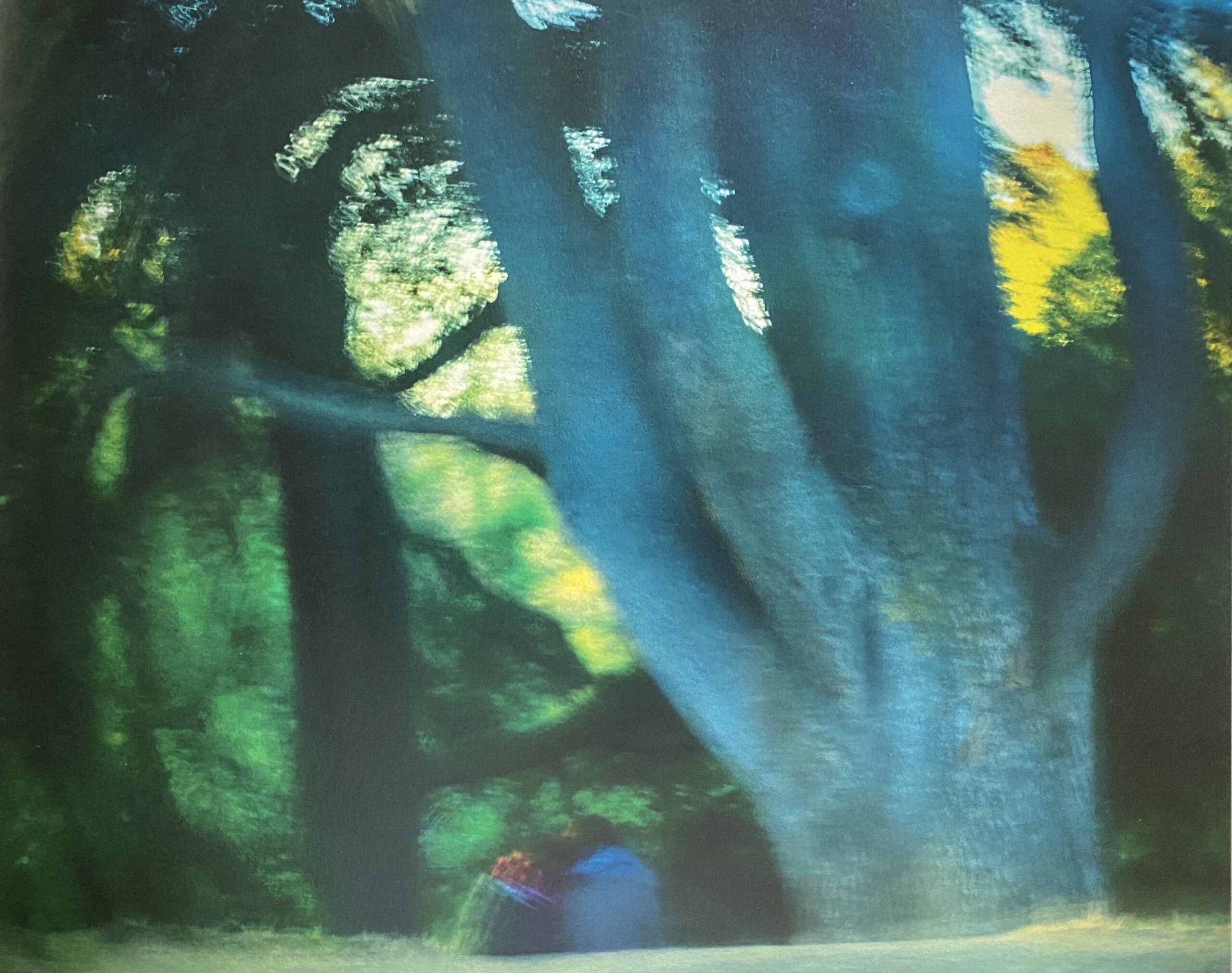 Melisa Teo The Trees of Paris 2025, event information times dates AWDB Singapore